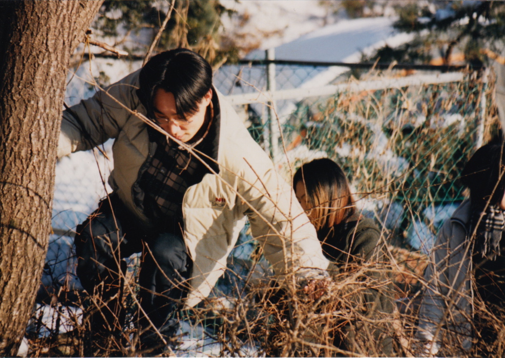 IMG1_0017.jpg