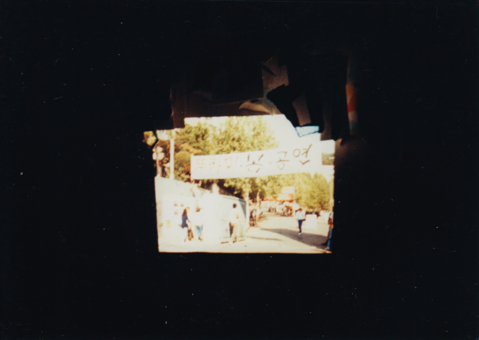 IMG8.jpg